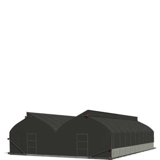 Green House Mushrooms Large